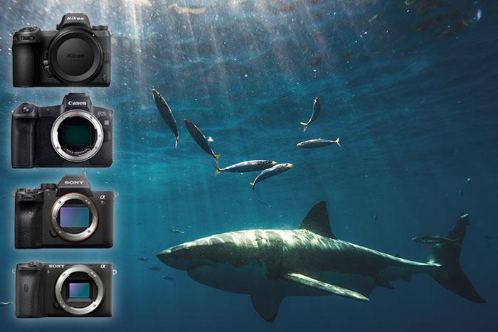 Underwater Video Camera Market