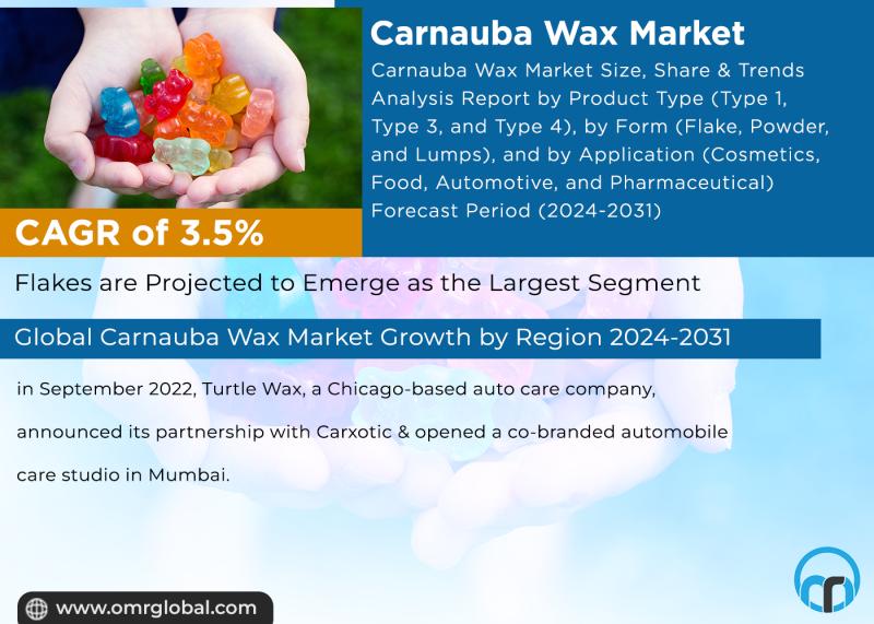 Carnauba Wax Market Outlook 2024-2031: Trends