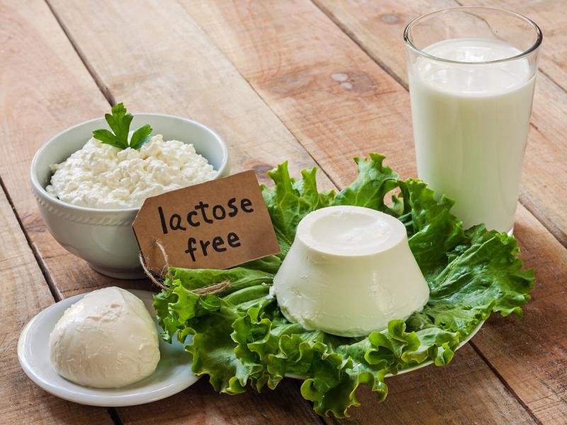 Lactose Free Food Market