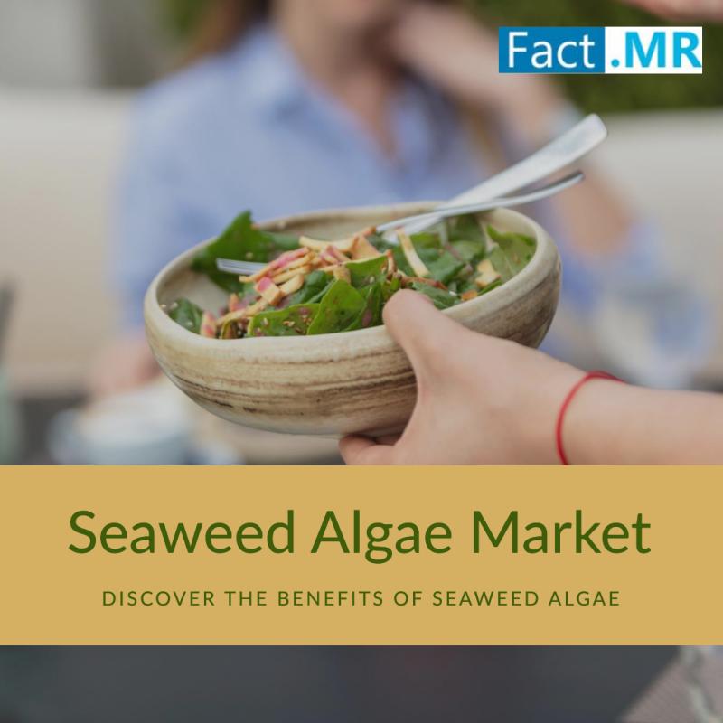 Seaweed Algae Market Forecasted to Expand Rapidly, Projecting