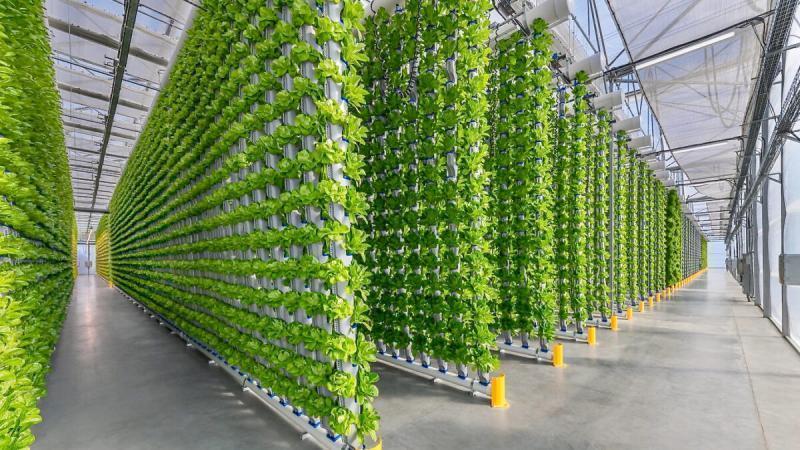 Vertical Farming Market 2026