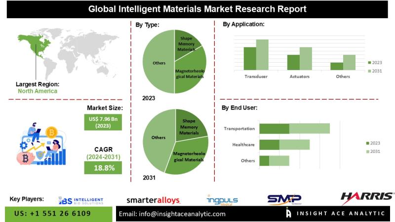 Intelligent Materials Market Future Growth Hotspots