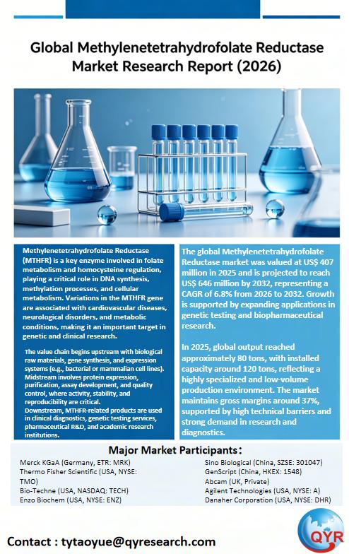 Global Methylenetetrahydrofolate Reductase Market Research