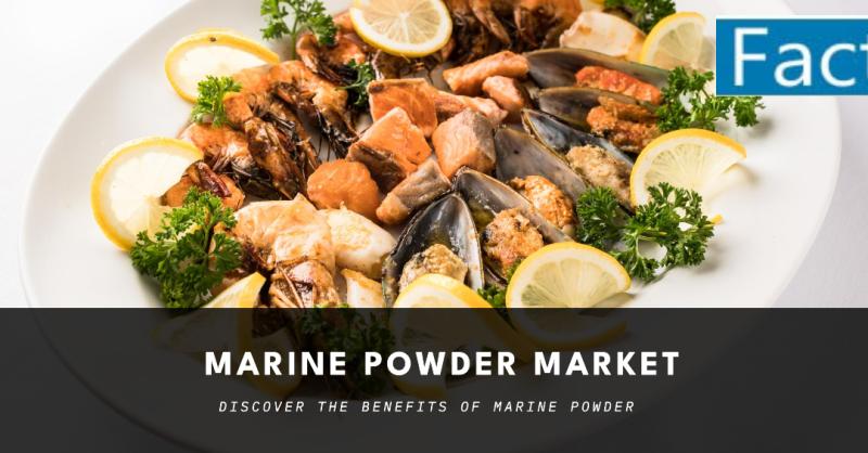 Marine Powder Market Projected to Reach US$ 23,486.5 Billion