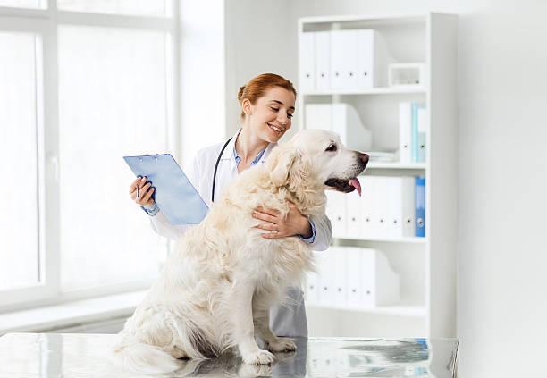 Europe Animal Healthcare Market: Prosperous Growth