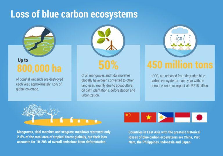 Blue Carbon Ecosystem Services Market