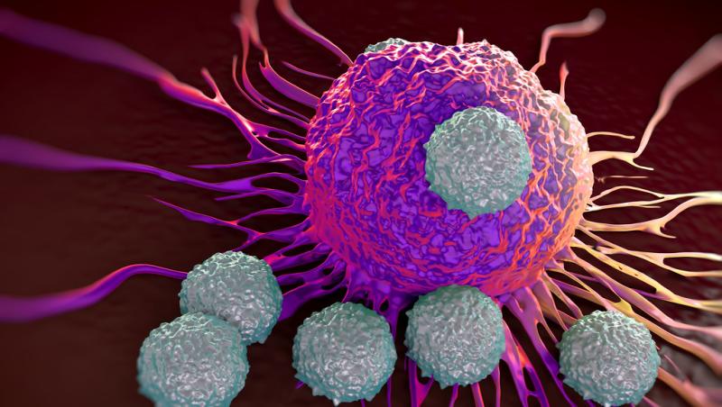 Immune Checkpoint Inhibitors