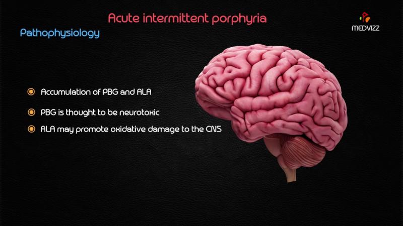 Porphyrias Drugs