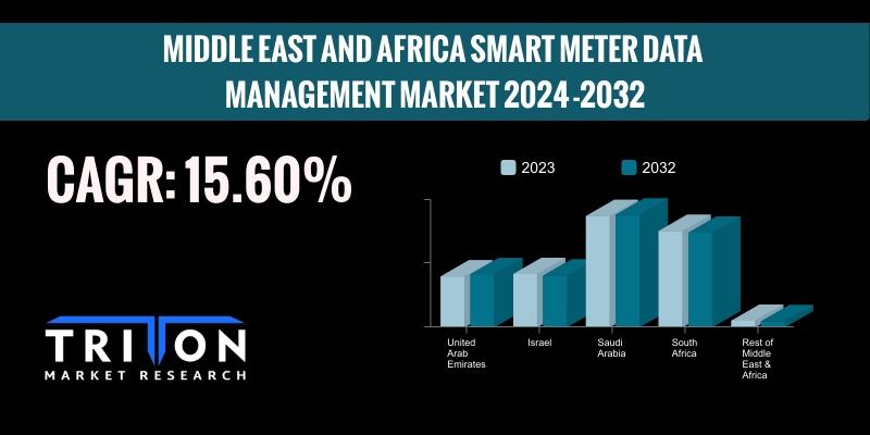 MIDDLE EAST AND AFRICA SMART METER DATA MANAGEMENT MARKET