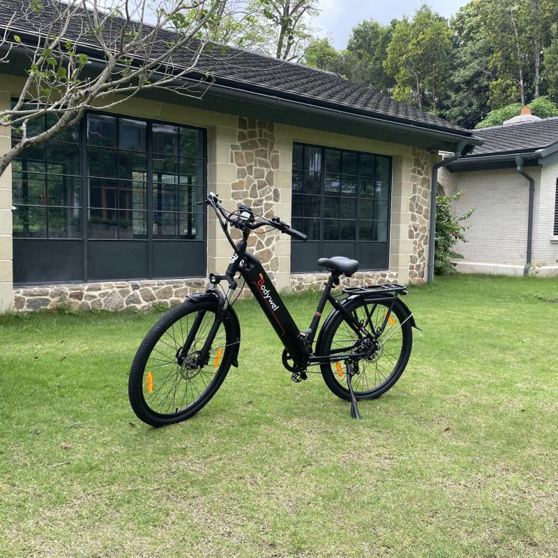 Buying Guide of Pedal Assist Electric Bike for Short Riders