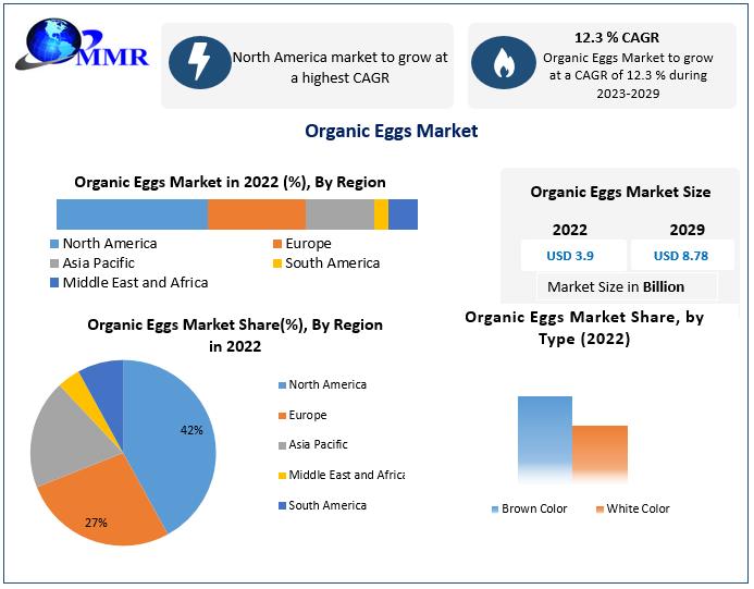Organic Eggs Market