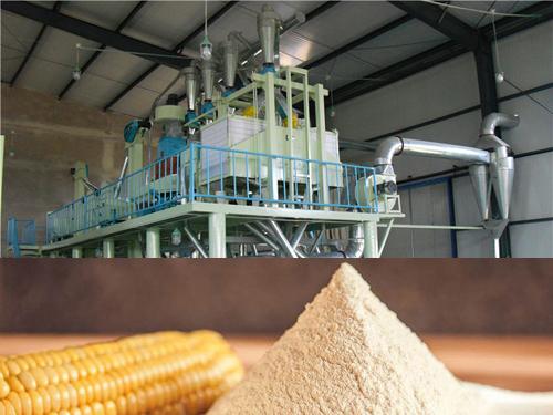 Maize Processing Plant Report 2024: Business Plan, Unit Setup