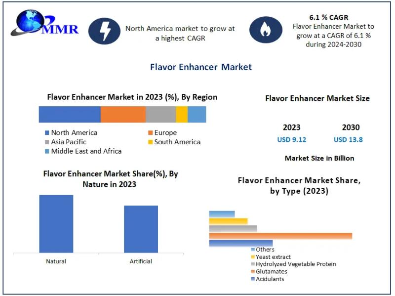 Flavor Enhancer Market Potential Effect on Upcoming Future