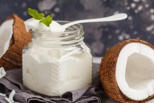 Coconut Yogurt Manufacturing Plant Project Report 2024: