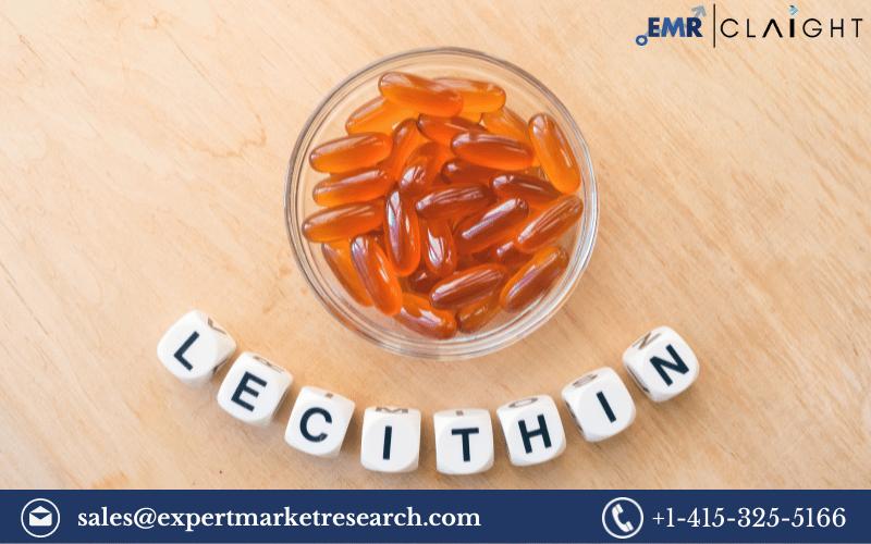 Lecithin Market