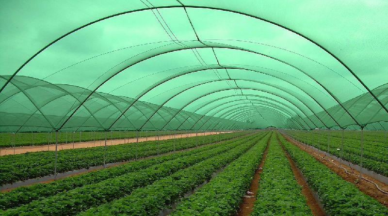 Green Agro Shade Net Manufacturing Plant Project Report