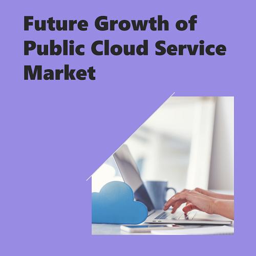 Public Cloud Service Market