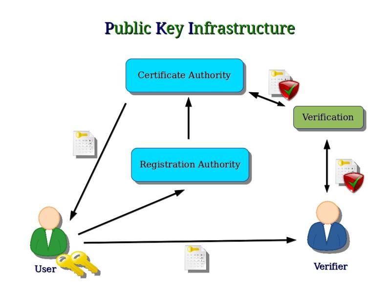 Certificate Authority Market to Grow at 13.1% CAGR during 2024-2030