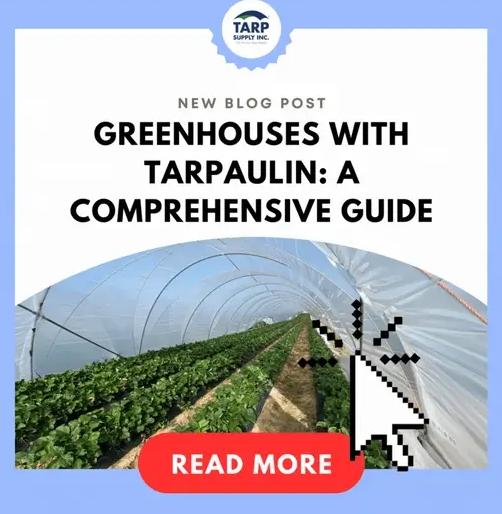Tarp Supply Announces Comprehensive Guide for Greenhouses with
