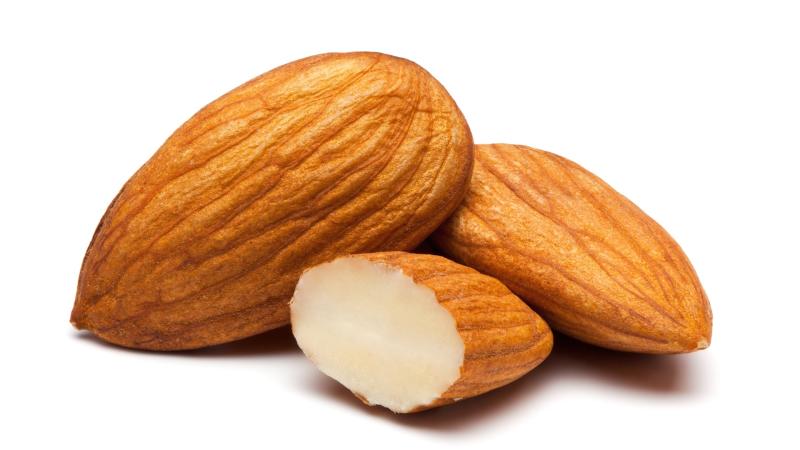 Almond Processing Plant Project Report