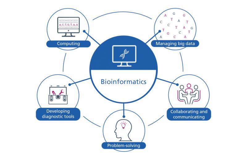 BioInformatics Market