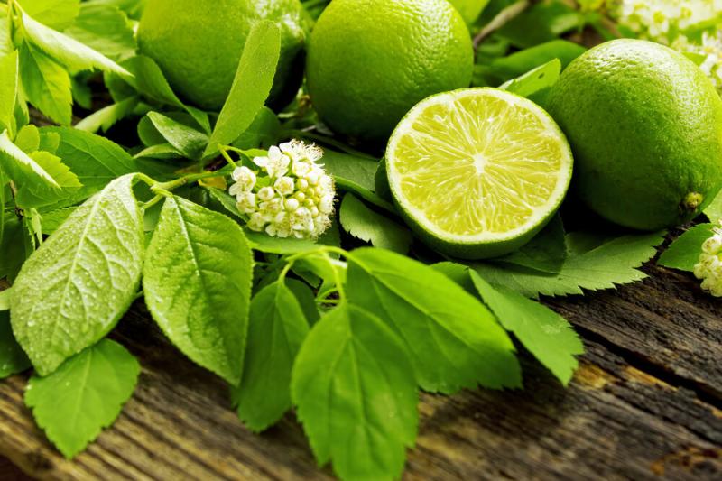 U.S Lime Market