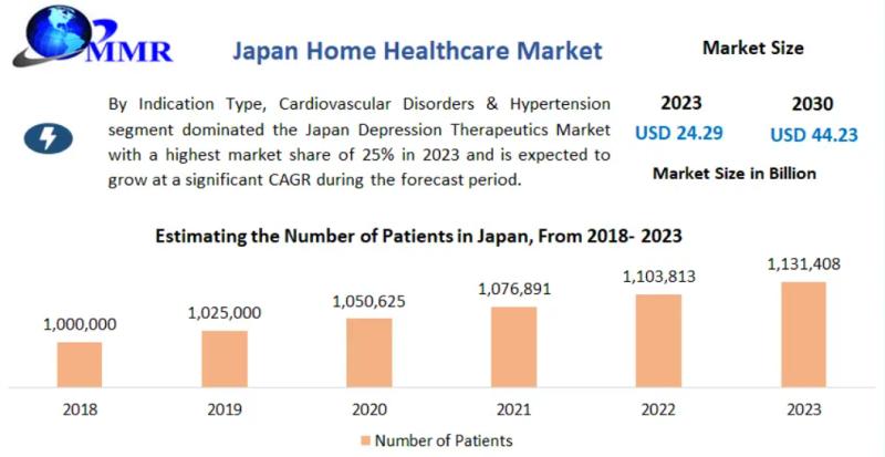 Japan Home Healthcare Market