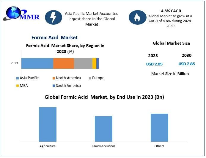 Formic Acid Market