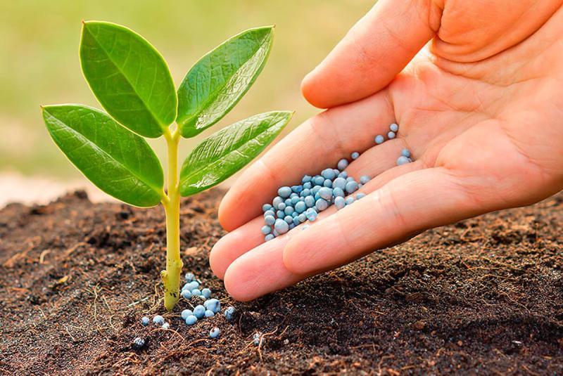 Specialty Fertilizers Market 2026