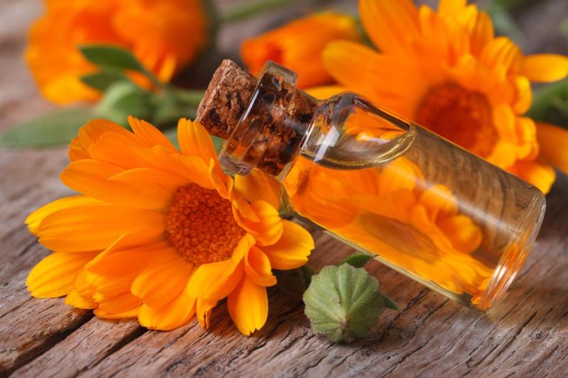 Calendula oil Market