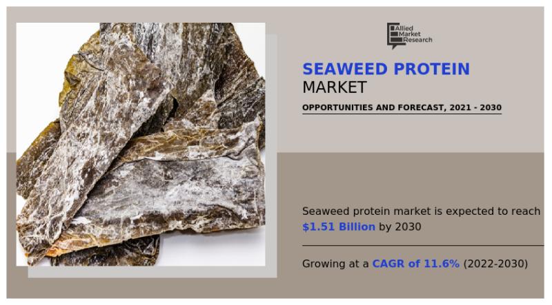 Allied Market Research's Latest Report Projects Significant Growth in Seaweed Protein Market