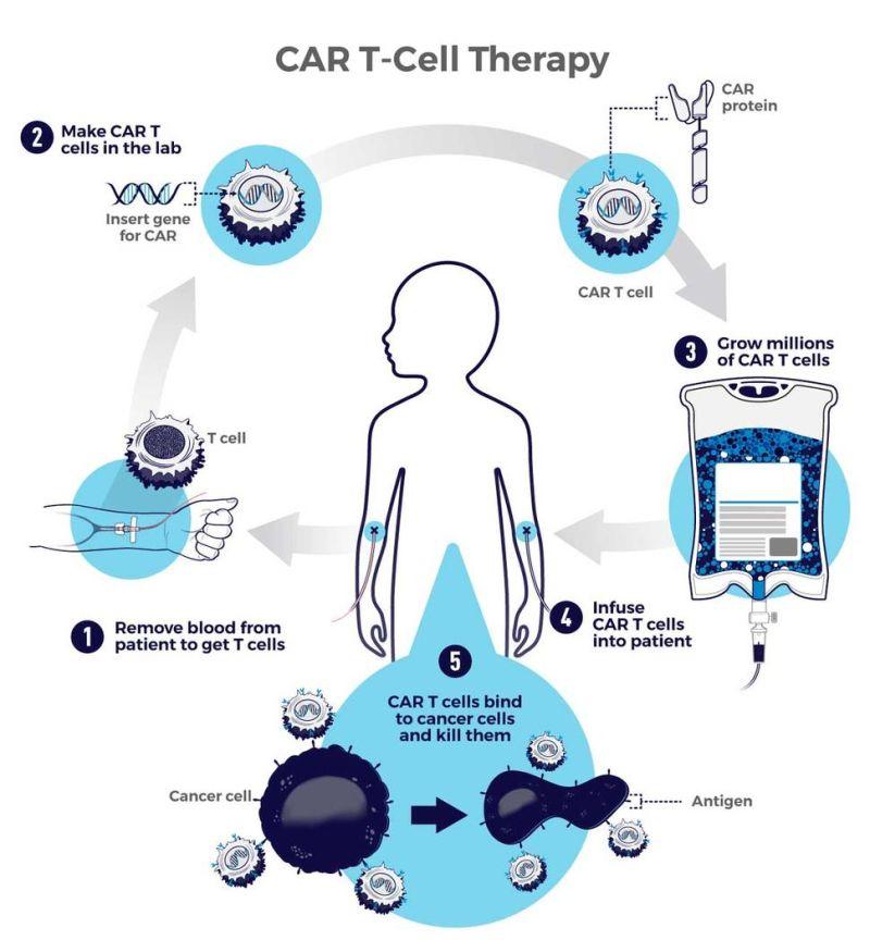Car T Cell Therapy Market