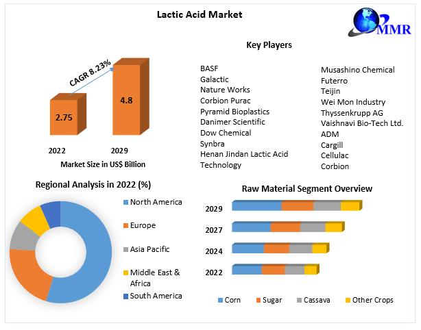 Lactic Acid Market