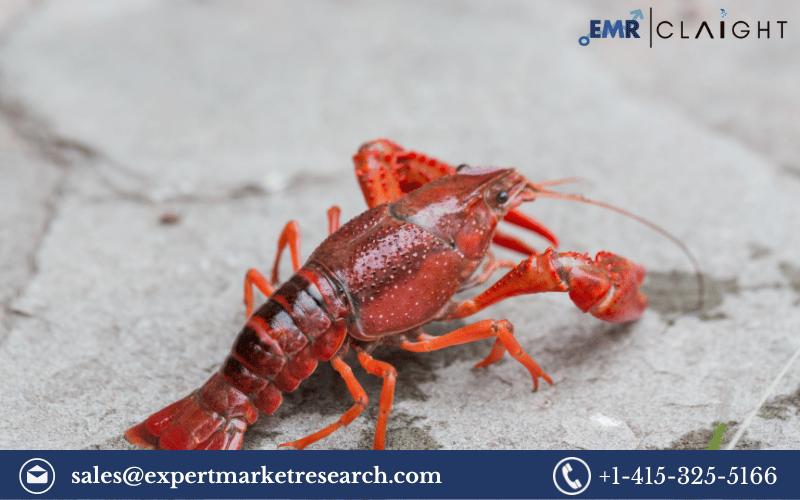 Crayfish Market