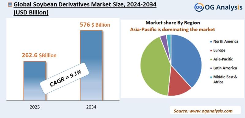 Soybean Derivatives Market Analysis 2025-2034: Industry Size, Share, Growth Trends, Competition and Forecast Report