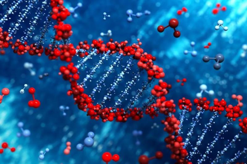 Polymerase Chain Reaction Market