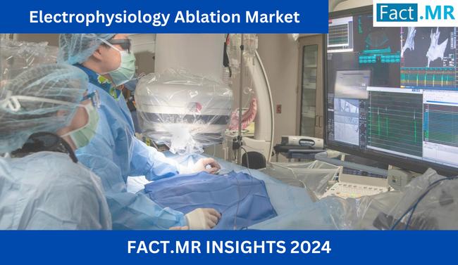 Electrophysiology Ablation Market