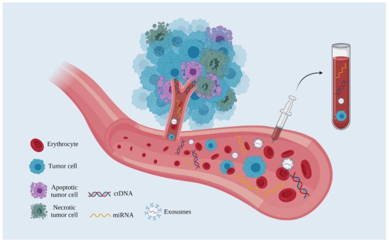 Cancer Biopsy Market Overall Study Report 2024-2031 | COUNSYL,