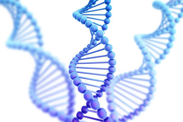 Genomics Market Detailed In New Research Report 2024 | Bio-Rad