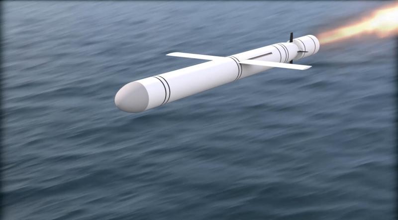 Sea Skimmer Missile Market
