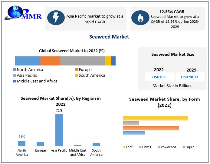 Seaweed Market