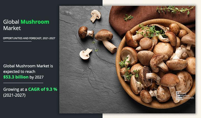 Fungi Flourish: Mushroom Market Projected to Surge