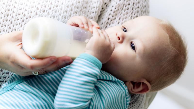 Infant Formula  Market