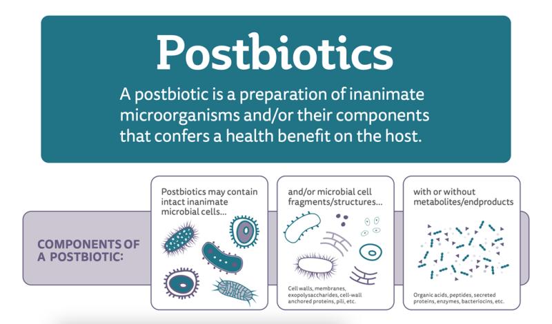 Postbiotic Market