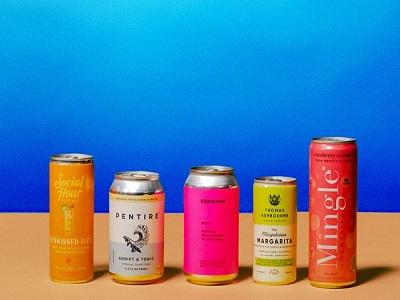 Canned Alcoholic Drinks Market