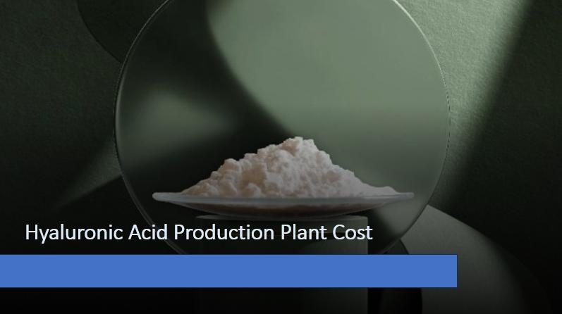 Hyaluronic Acid Production Plant DPR - 2026: CapEx/OpEx