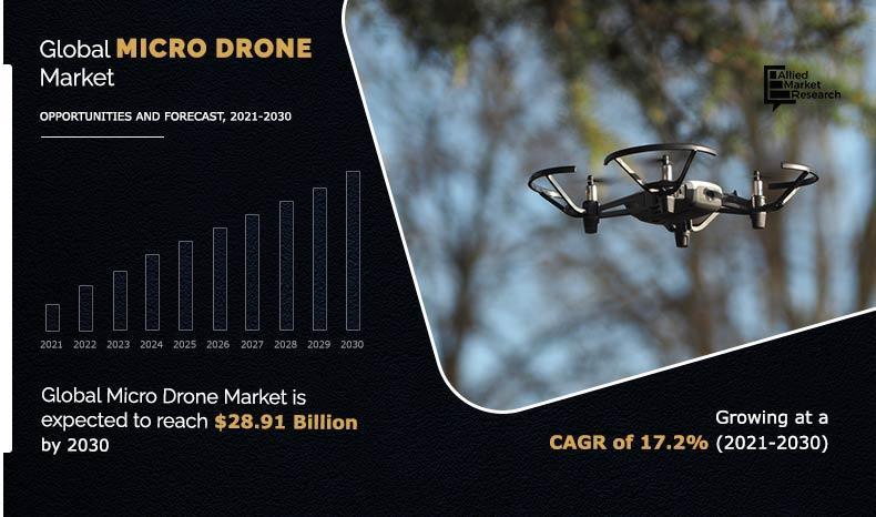 Micro Drone Market
