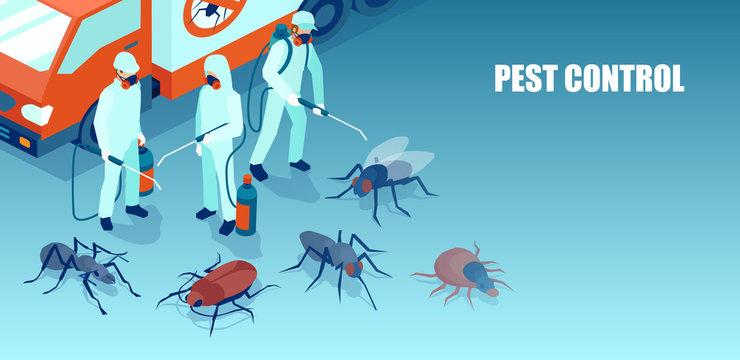 Insect Pest Control Market Size 2026