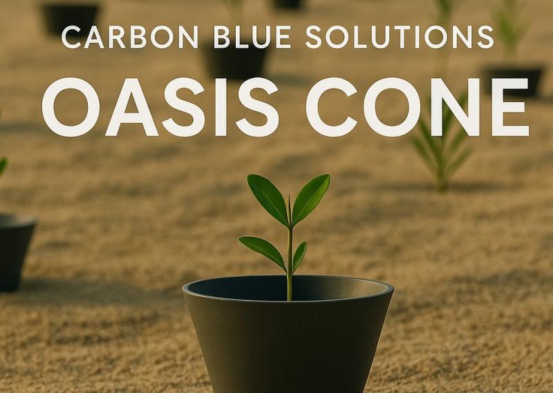 Carbon Blue Launches Oasis Cone: Patent-Pending Tech Grows Mangroves in Deserts Without Irrigation