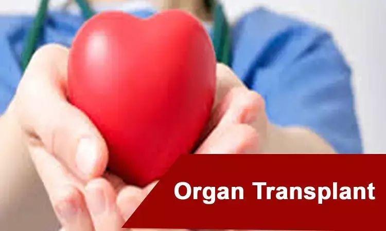 Organ Transplant Market Huge Growth in Future Scope 2024-2031 |